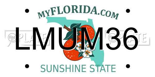 LMUM36 Florida License Plate
