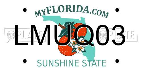 LMUQ03 Florida License Plate