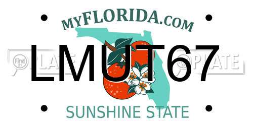 LMUT67 Florida License Plate