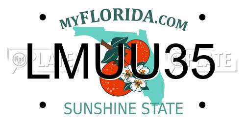 LMUU35 Florida License Plate