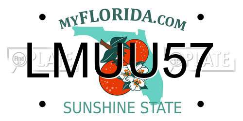 LMUU57 Florida License Plate