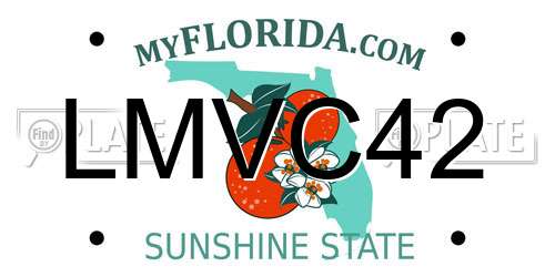 LMVC42 Florida License Plate