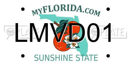 LMVD01 Florida License Plate