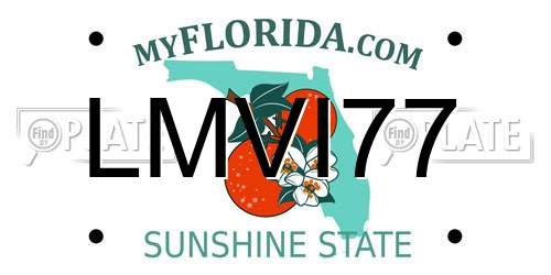 LMVI77 Florida License Plate