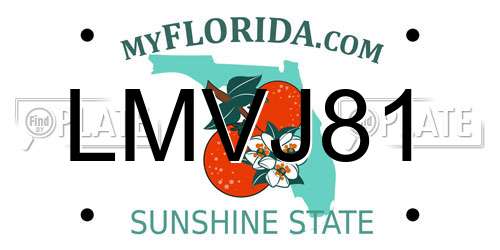 LMVJ81 Florida License Plate