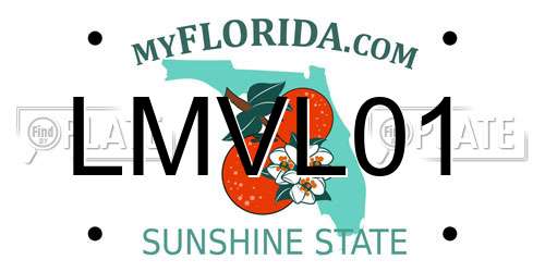 LMVL01 Florida License Plate