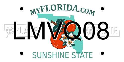 LMVQ08 Florida License Plate