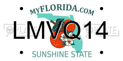 LMVQ14 Florida License Plate
