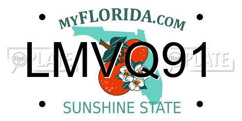 LMVQ91 Florida License Plate