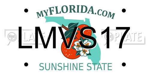 LMVS17 Florida License Plate