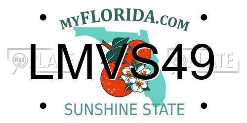 LMVS49 Florida License Plate