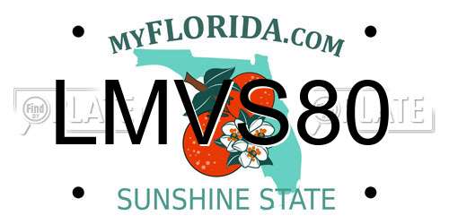 LMVS80 Florida License Plate