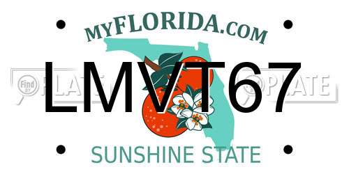 LMVT67 Florida License Plate