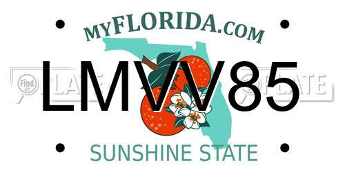 LMVV85 Florida License Plate