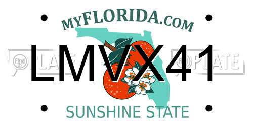 LMVX41 Florida License Plate