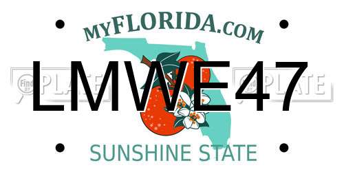 LMWE47 Florida License Plate