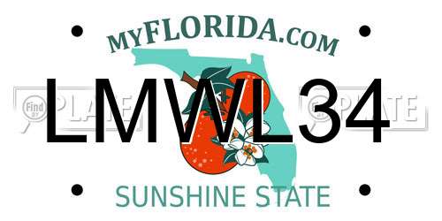 LMWL34 Florida License Plate