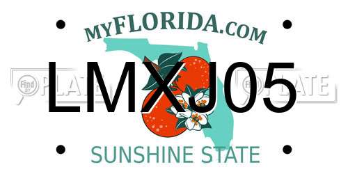 LMXJ05 Florida License Plate