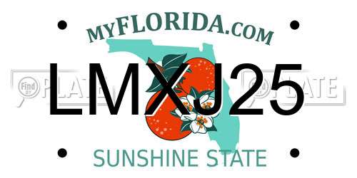 LMXJ25 Florida License Plate
