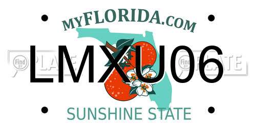 LMXU06 Florida License Plate