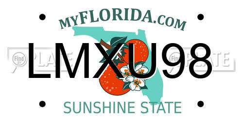 LMXU98 Florida License Plate