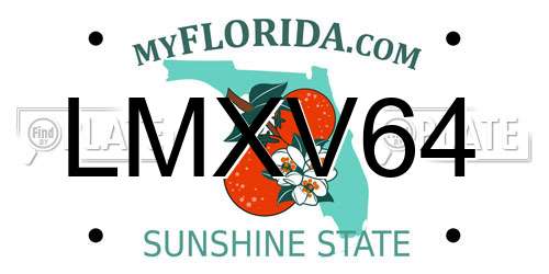 LMXV64 Florida License Plate
