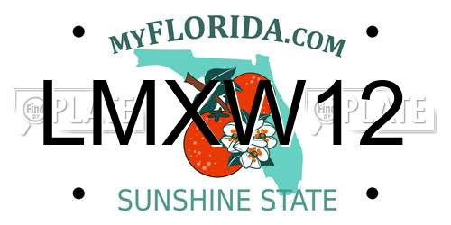 LMXW12 Florida License Plate