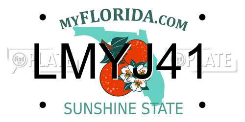 LMYJ41 Florida License Plate