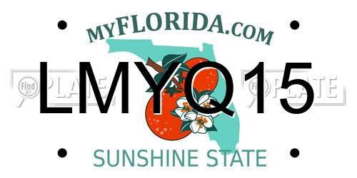 LMYQ15 Florida License Plate