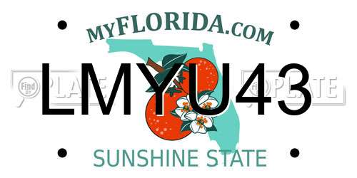 LMYU43 Florida License Plate