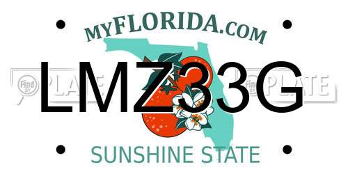 LMZ33G Florida License Plate