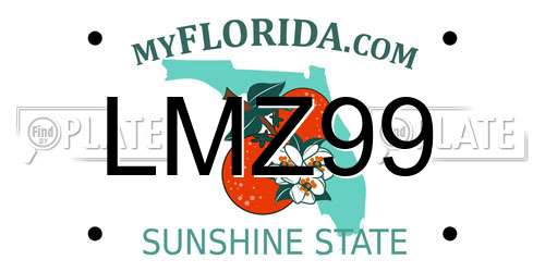 LMZ99 Florida License Plate