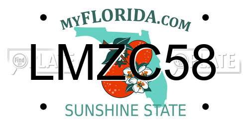 LMZC58 Florida License Plate
