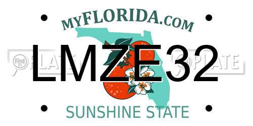 LMZE32 Florida License Plate