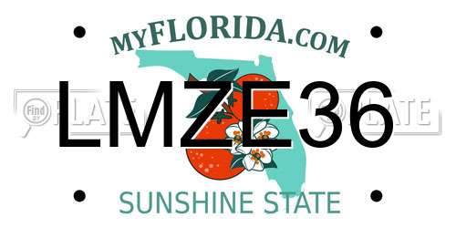 LMZE36 Florida License Plate