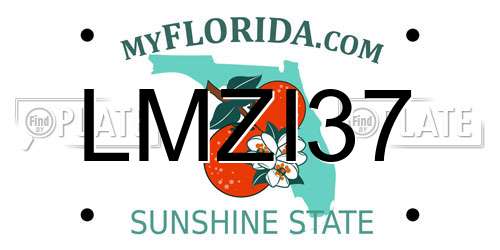 LMZI37 Florida License Plate