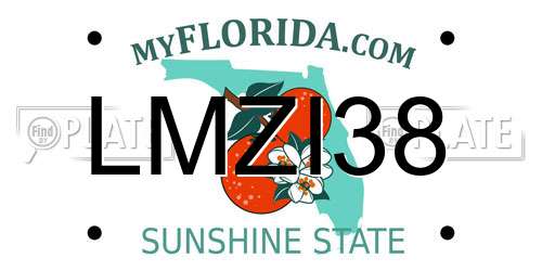 LMZI38 Florida License Plate