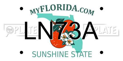 LN73A Florida License Plate