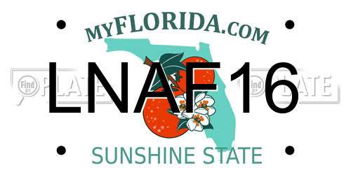 LNAF16 Florida License Plate
