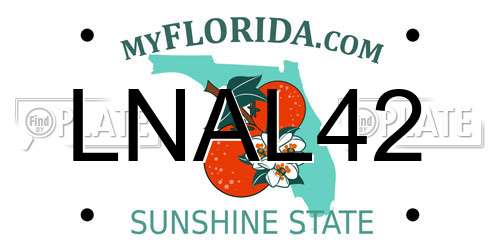 LNAL42 Florida License Plate