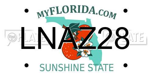 LNAZ28 Florida License Plate