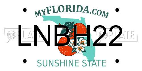 LNBH22 Florida License Plate