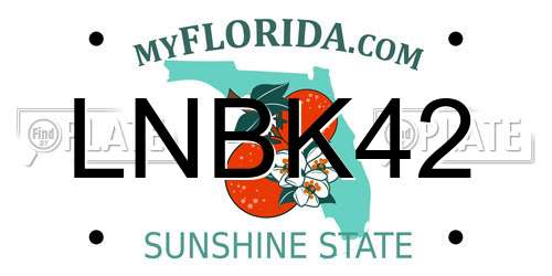 LNBK42 Florida License Plate
