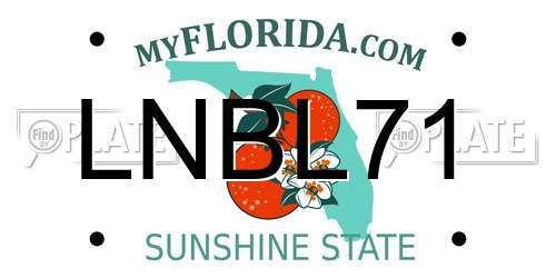 LNBL71 Florida License Plate