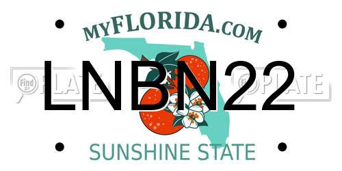 LNBN22 Florida License Plate