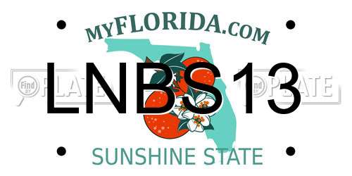 LNBS13 Florida License Plate