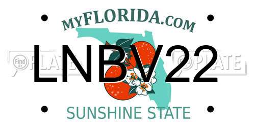 LNBV22 Florida License Plate