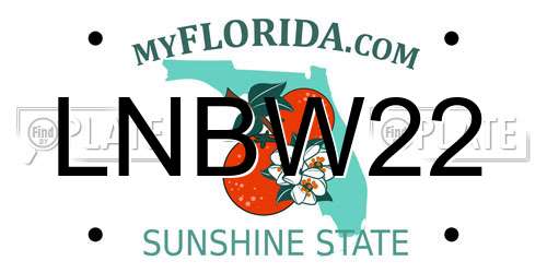 LNBW22 Florida License Plate