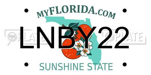 LNBY22 Florida License Plate