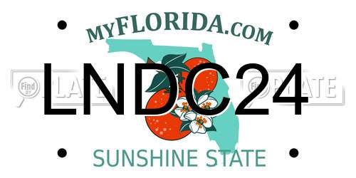 LNDC24 Florida License Plate